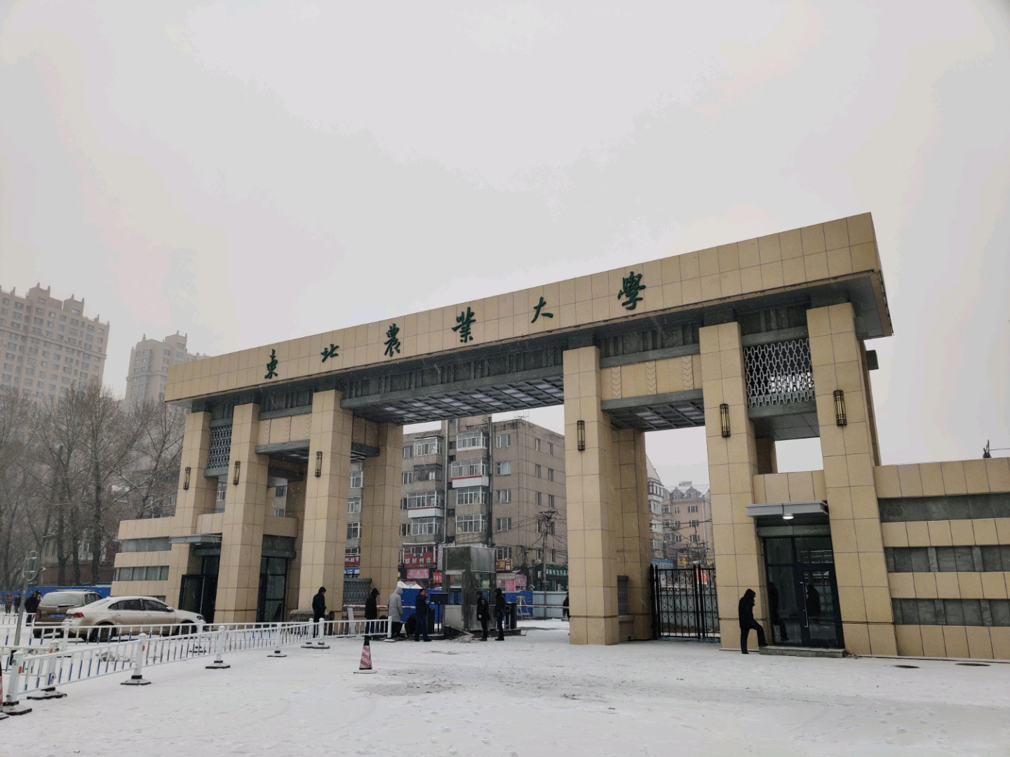 东北农业大学