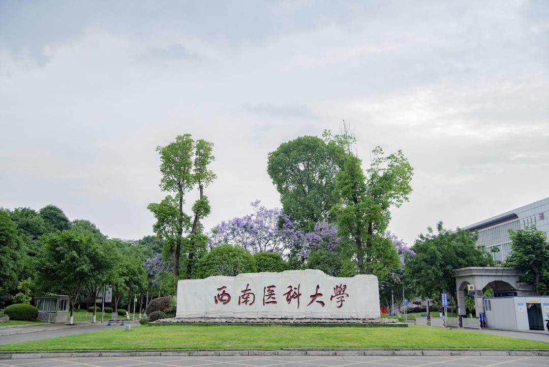 西南医科大学