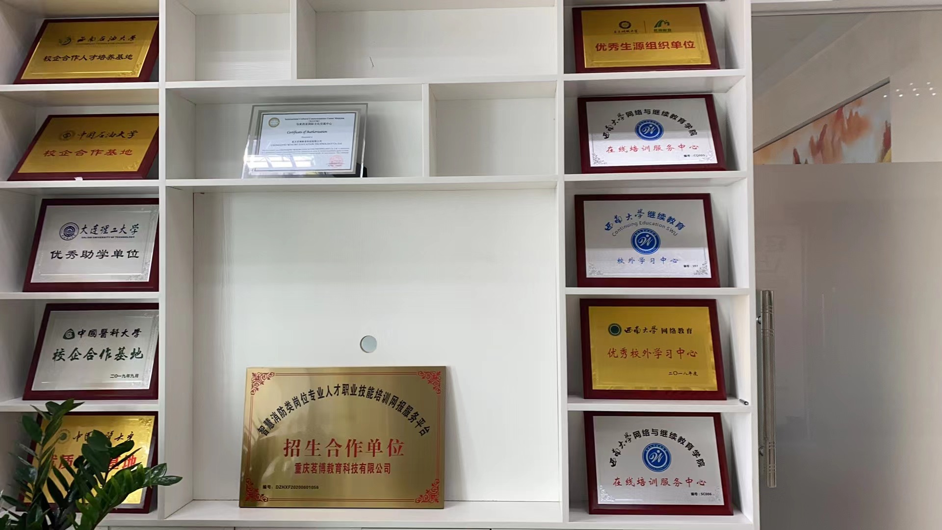 公司资质